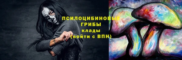 спиды Алексин