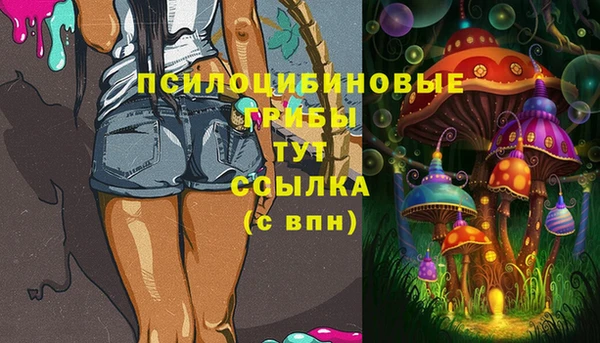 спиды Алексин
