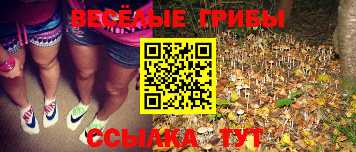 Галлюциногенные грибы мицелий  Псилоцибиновые грибы ЛСД  Люберцы  Вход с VPN 