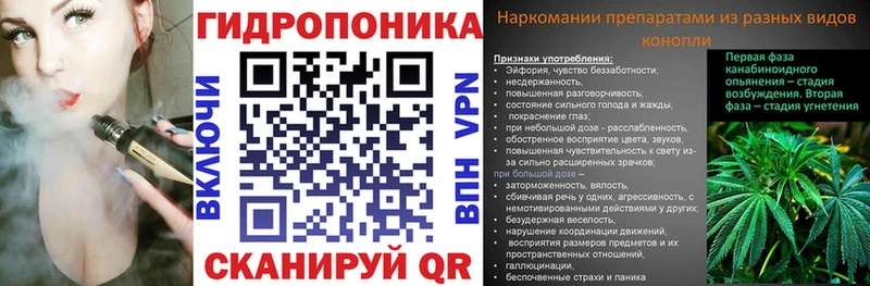 Бошки Шишки план Люберцы
